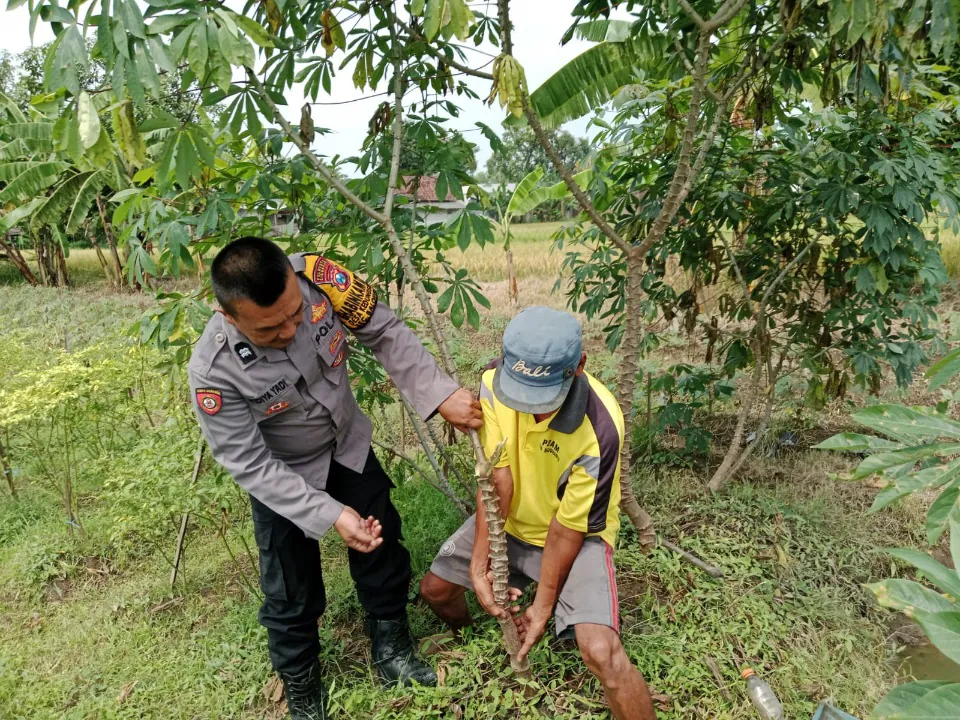 Img 20250321 Wa0211