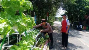 Img 20250319 Wa0273