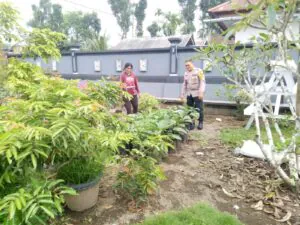 Img 20250313 Wa0051