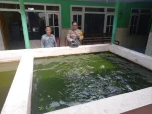 Img 20250404 Wa0126