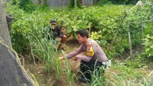 Img 20250409 Wa0041