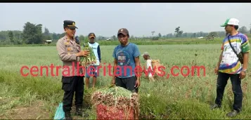 Img 20250409 Wa0037