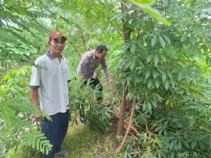 Img 20250402 Wa0049