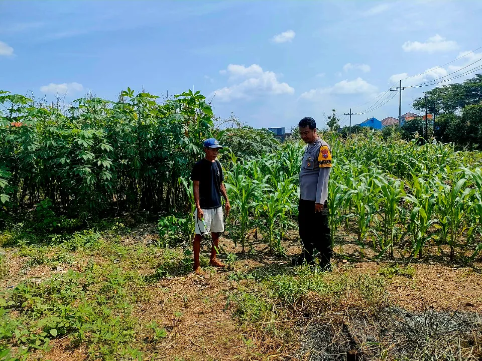 Bhabinkamtibmas Cek Lahan Ketahanan Pangan di Desa Keboananom Gedangan