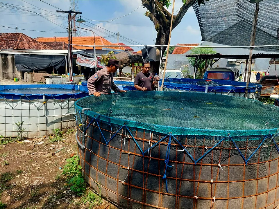 Budidaya Lele di Lahan Kosong Desa Ketimang Dukung Ketahanan Pangan Polresta Sidoarjo