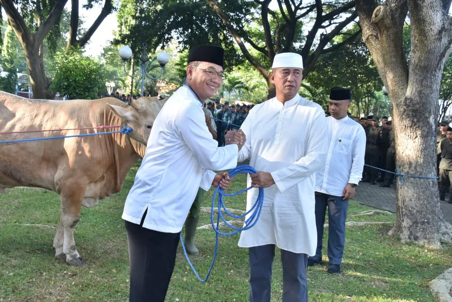 Semangat Berkurban di Kodiklatal: Komandan Kodiklatal Serahkan Hewan Kurban
