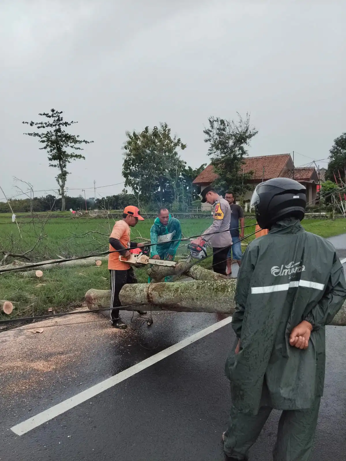 Polisi Ngawi Sigap Evakuasi Pohon Tumbang di Kedunggalar, Arus Lalu Lintas Kembali Normal