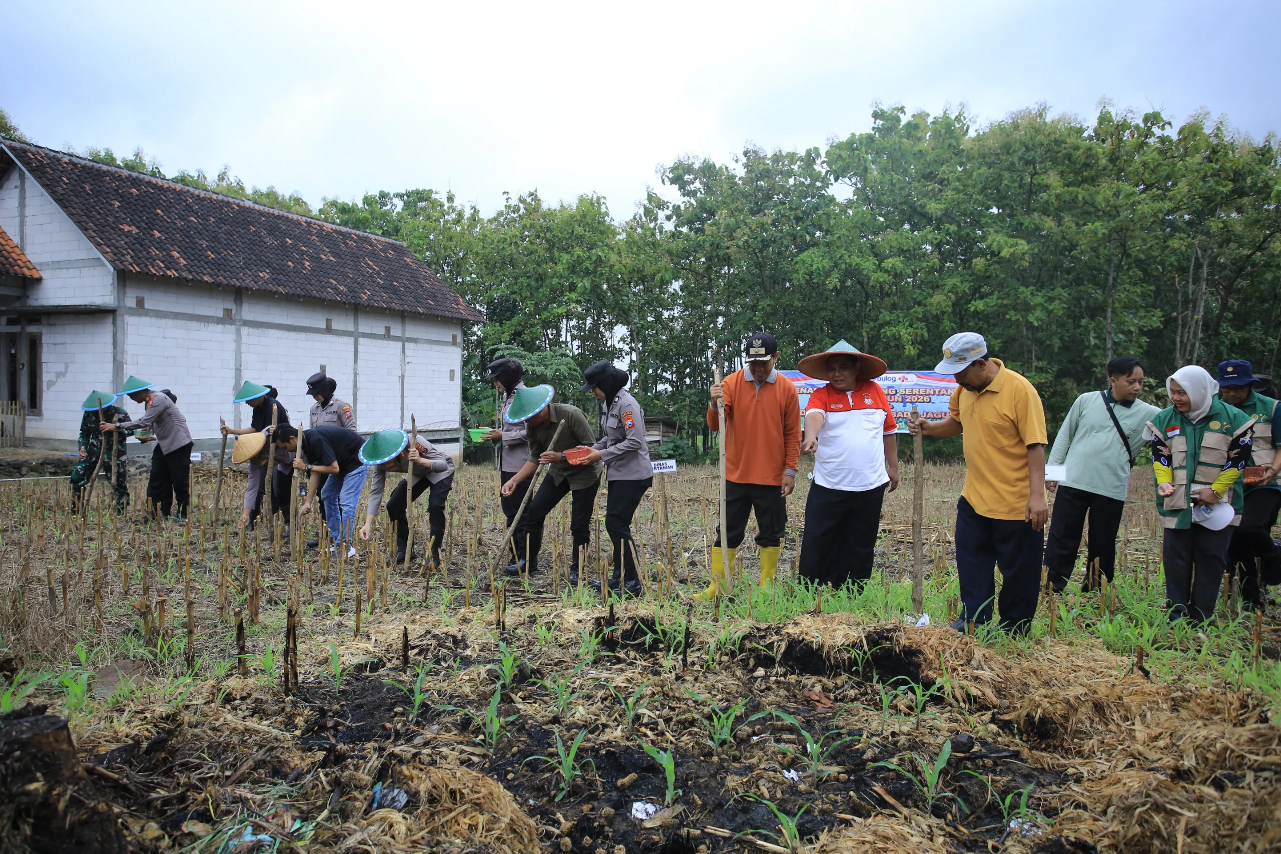 Dukung Ketahanan Pangan Nasional, Polres Madiun Gelar Tanam Raya Jagung Serentak Kuartal I di Geger