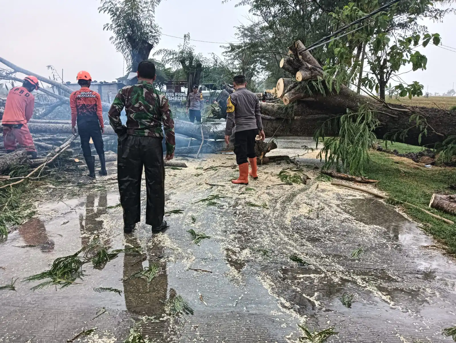 Polisi Ngawi Sigap Evakuasi Pohon Tumbang di Jalur Padas-Pangkur