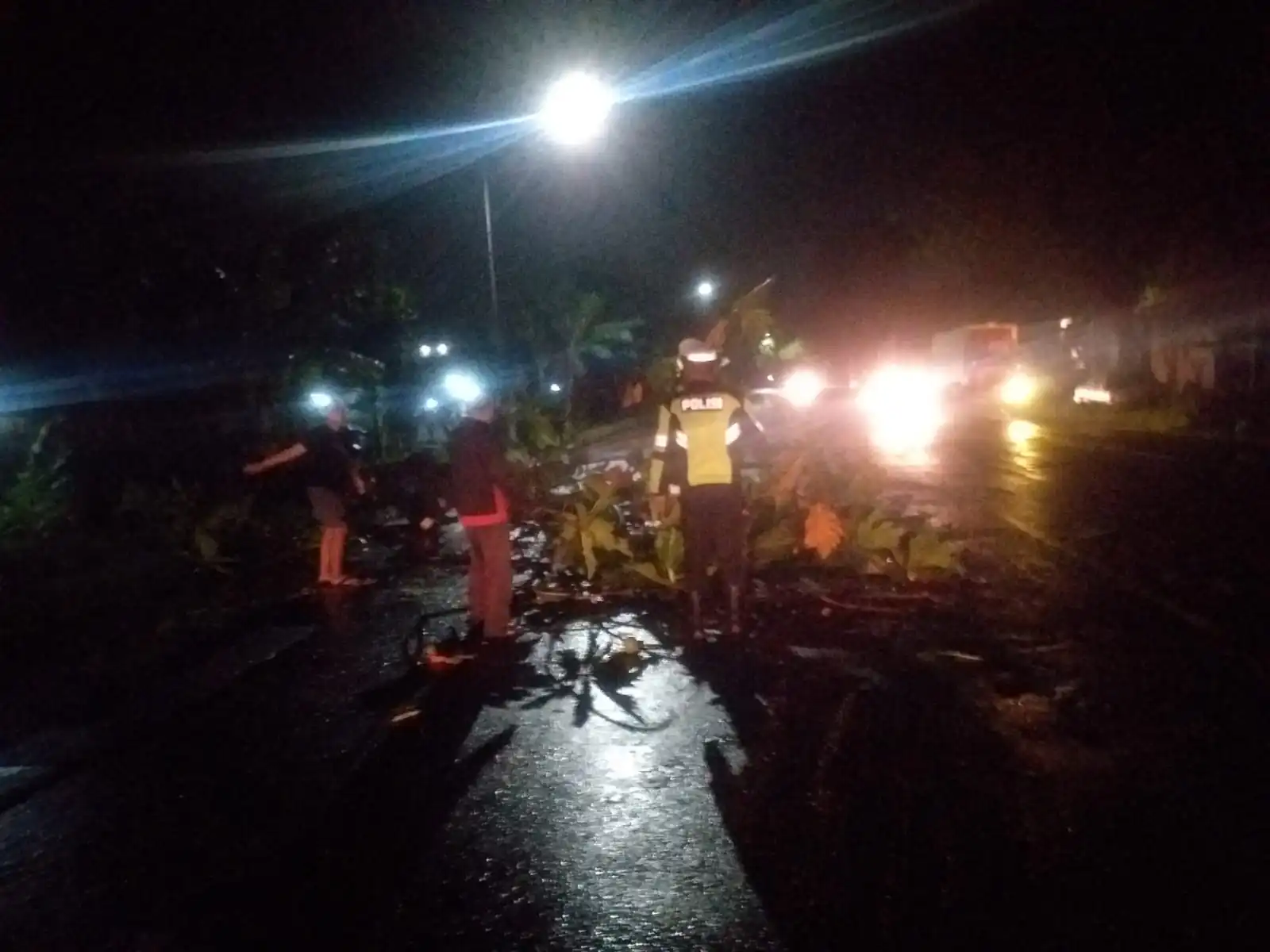 Polsek Balongbendo Evakuasi Pohon Tumbang, Arus Lalu Lintas Kembali Lancar